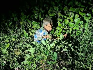 Ảnh tìm kiếm: https://www.facebook.com/233160117415968/posts/936300313768608/?d=n